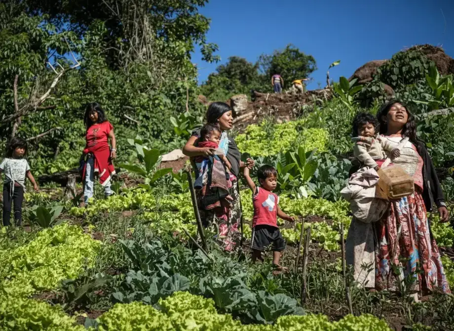 La langue guarani : la seule langue indigène majoritaire des Amériques